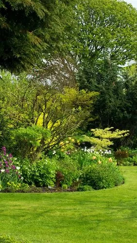 首页 自然与风景