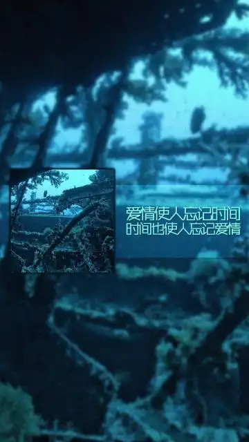 有关爱情的伤感心语