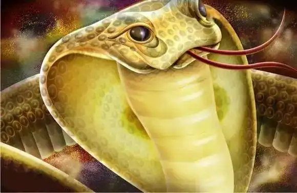 2,阴蛇蛊中了『情蛊』的人如果不吃解药的话,在『情蛊』发作的时候,大