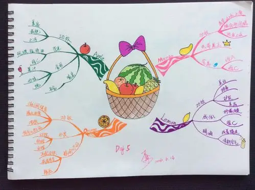 【思维导图】基础班结业总结