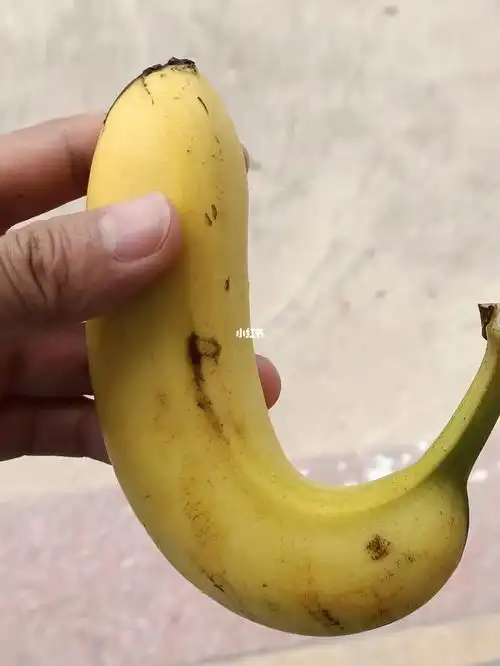 香蕉  像什么姐妹们