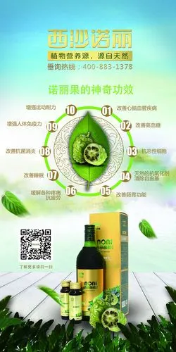 上帝赐予的礼物西沙诺丽简介