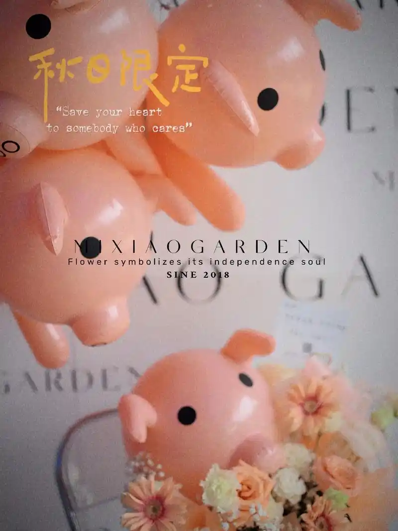 送你猪猪99气球,做我的猪猪女孩吧~网红猪猪99抱抱桶独家款 - 抖