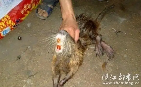 传说中的水鬼 有图有真相 胆小勿入