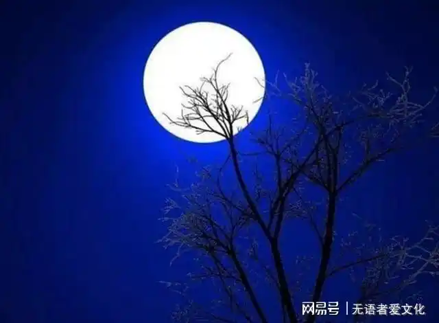 诗词欣赏杜甫宿府悲凉孤独寂寞