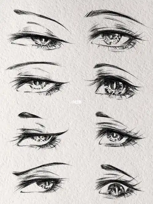 眼睛绘画教程素材