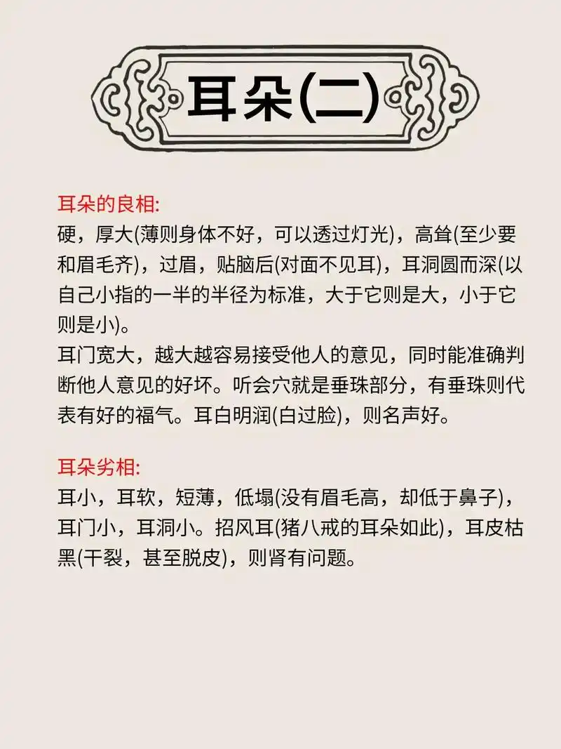知识分享丨耳朵的解读9797 #面相给你的第一感觉 #识人术 - 抖音