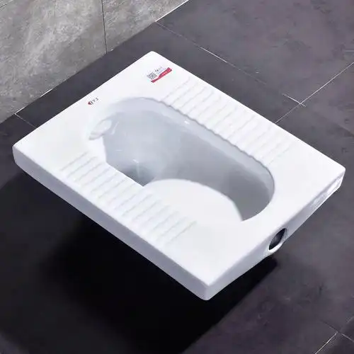 家用陶瓷蹲便器蹲坑大便器带水箱整套蹲厕卫生间蹬厕所防臭踏便池