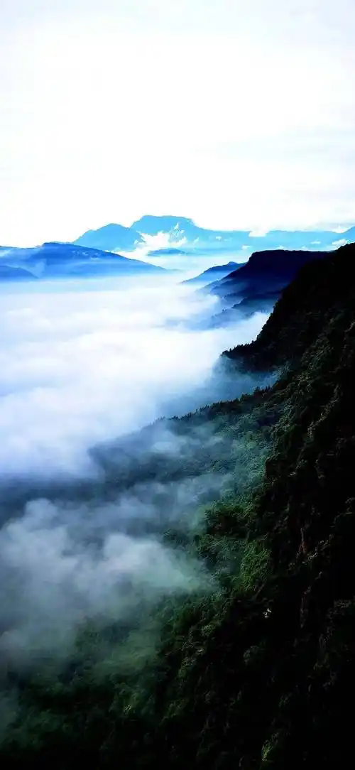 云海翻涌似仙境,随手一拍都是大片!太秀了!