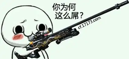 火爆表情你为何这么屌cf版17173独家