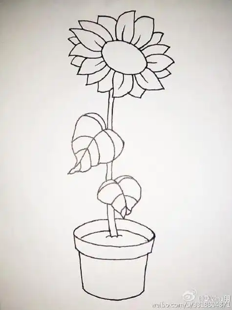 向日葵花怎么画向日葵的儿童画简笔画画法向日葵手绘教程图解2