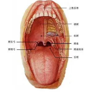 口腔癌是怎么样的