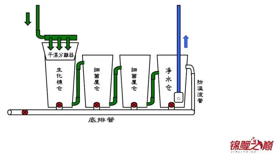 请大湿们看看这样的底滤设计有没有问题? - 鱼缸鱼池 - 龙巅锦鲤鱼