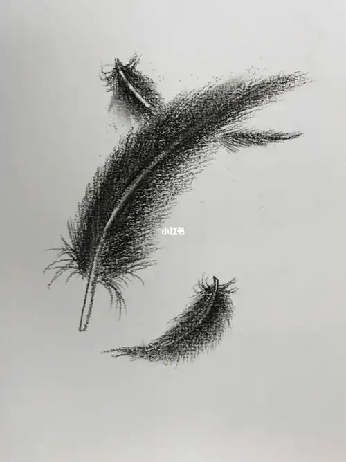 1分钟教你画羽毛02