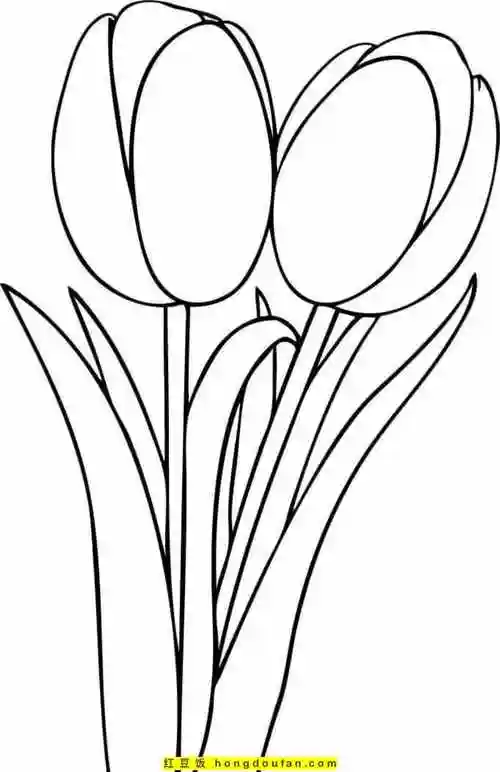 12张郁金香花园和蜜蜂有趣的春天卡通涂色简笔画!