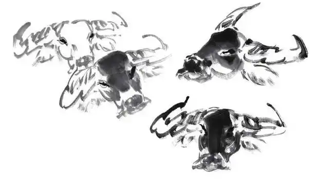 国画牛的基本画法