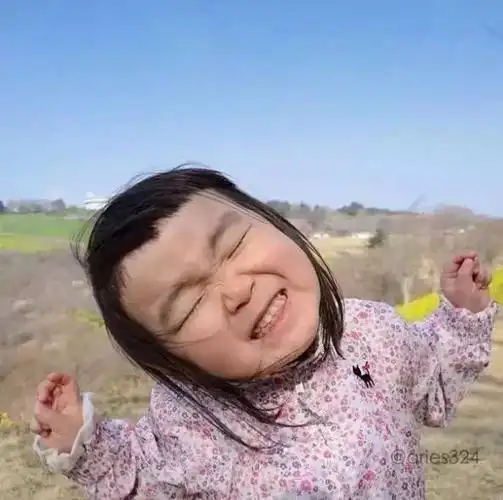 日本四岁小女孩凭借她的丑萌火遍全世界你就是我想要的傻丫头