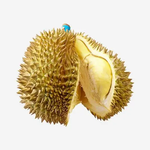 榴莲 水果