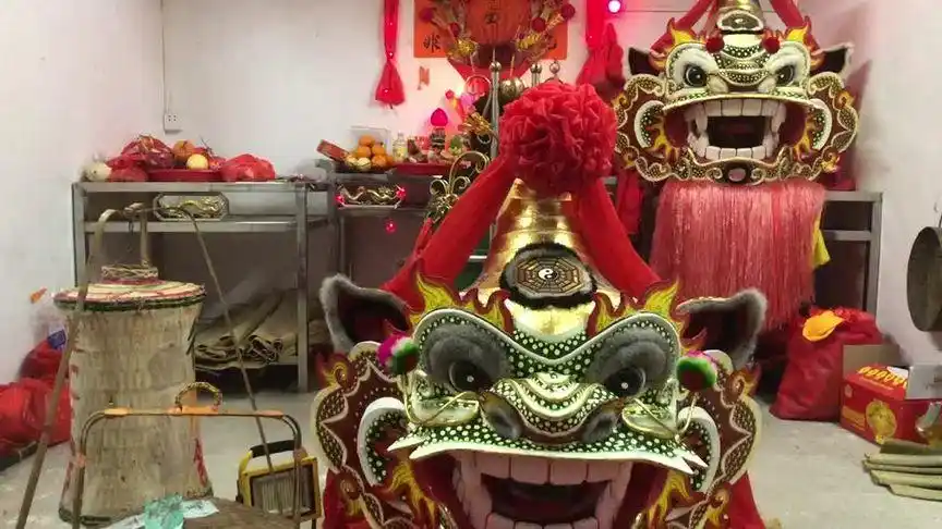 海陆丰虎狮 海陆丰独角麒麟#广东 #汕尾 #非遗文化 #海陆丰