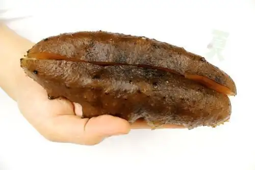 干猪婆参.发的方法?