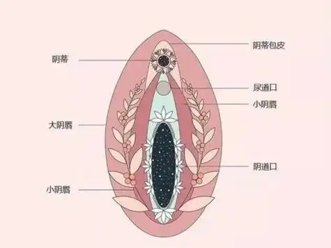 技巧丨女生如何通过夹腿获得快乐