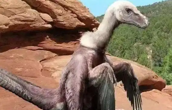 北票颌龙:辽宁小型食肉恐龙(长1.8米/距今1.2亿年)