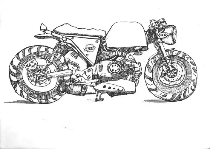 自然观察  #线描画  #速写写生