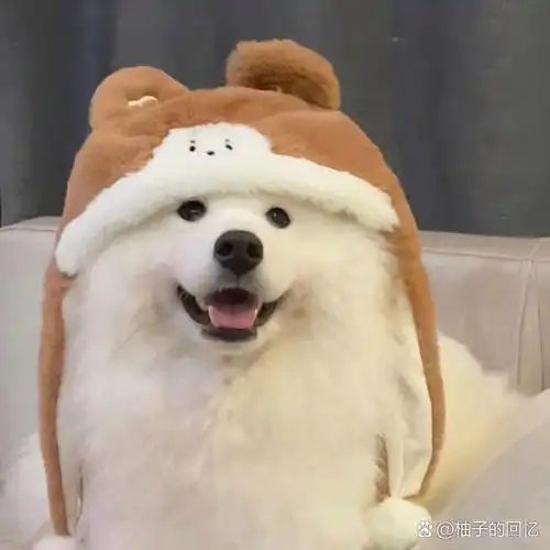 qq头像 换上这些超萌qq头像,让你的心情也跟着q萌起来!