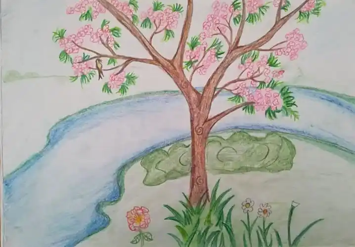 美术科优秀作业