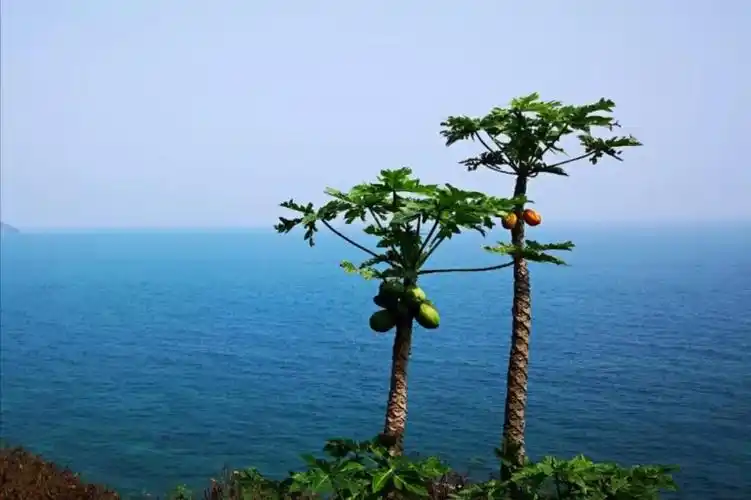 早读:退一步,海阔天空 - 自由自在 - 名表论坛—名表玩家的乐园