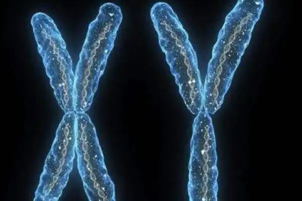 y染色体微缺失美国试管婴儿先进技术助圆父亲梦