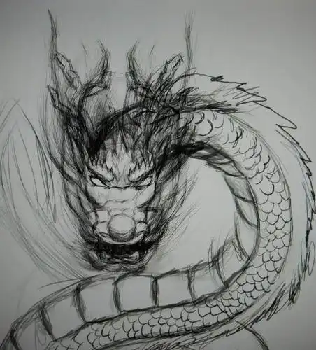 如何画龙-简单教程