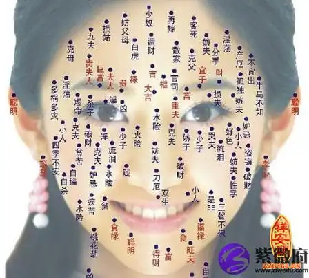 面相痣图解女