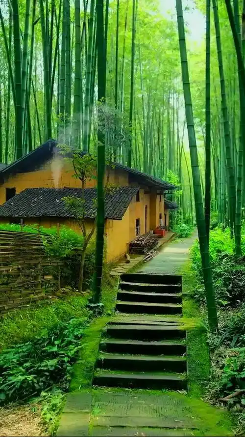 竹林人家老房子袅袅炊烟