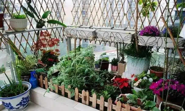 阳台上养花需要这样装扮起来邻居们看见了都羡慕