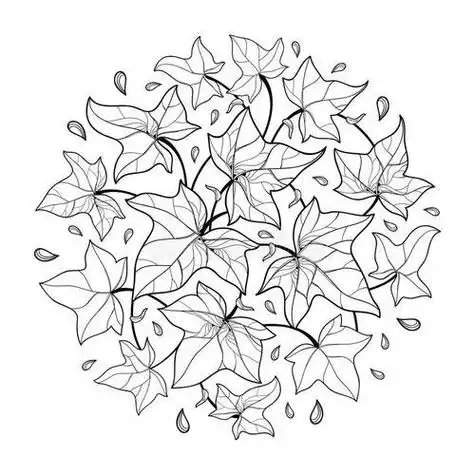 常春藤的画法简笔画