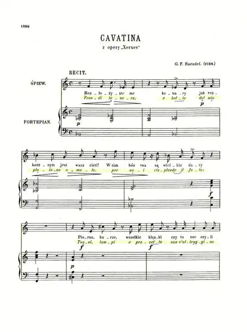 乐谱分享绿树成荫ombramaifu