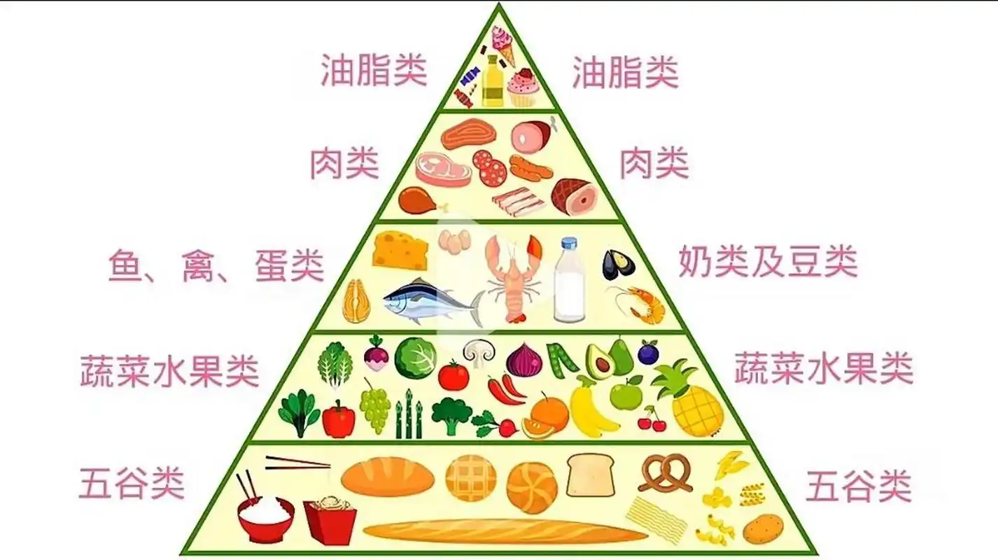 膳食金字塔 可打印