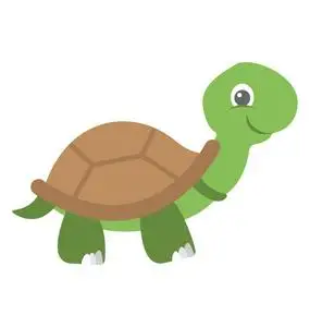 一个可爱的卡通龟矢量图标照片