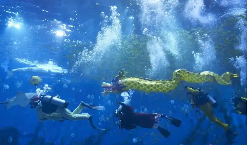 郑州海昌海洋旅游度假区全维度创历史新高