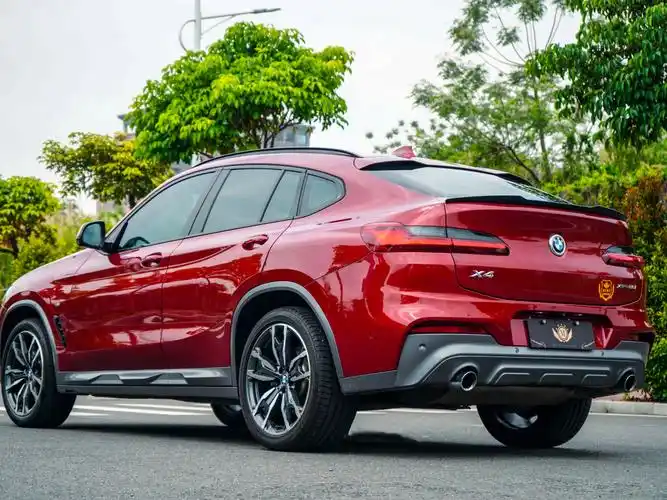 宝马 宝马x4  2019款 xdrive25i m越野套装图片