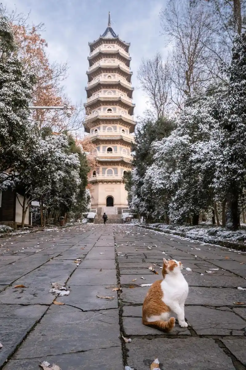 今早6点58分,南京雪后的灵谷寺.拍摄于2023.12.16 - 抖音