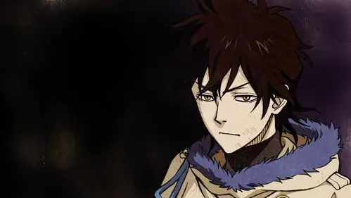 【动漫壁纸】黑色四叶草 赏析