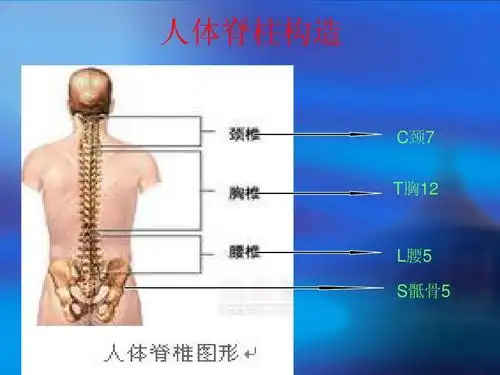腰椎间盘突出症护理ppt