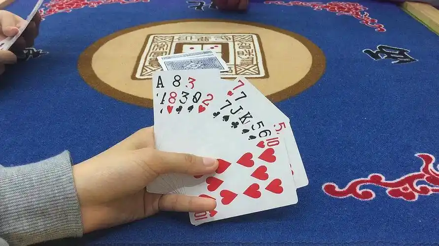 猛隼游戏酱:真人纸牌类游戏《真人斗地主》的视频集合