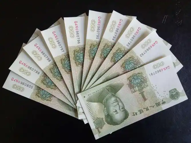 991超强鸡血红冠号荧光标十一