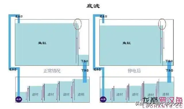 底部过滤鱼缸的水循环示意图