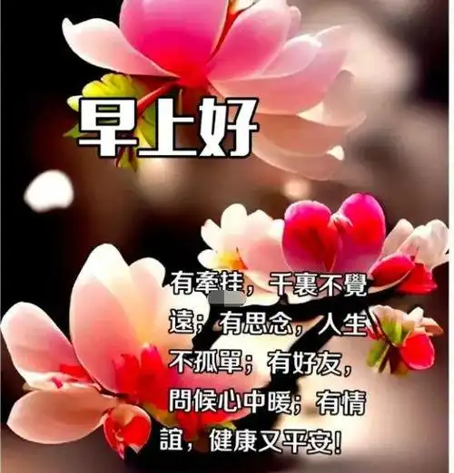 冬天早安问候语暖心的祝福图片带字天冷了注意保暖的祝福语温馨早上好