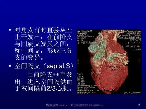 正常冠状动脉解剖_word文档在线阅读与下载_无忧文档