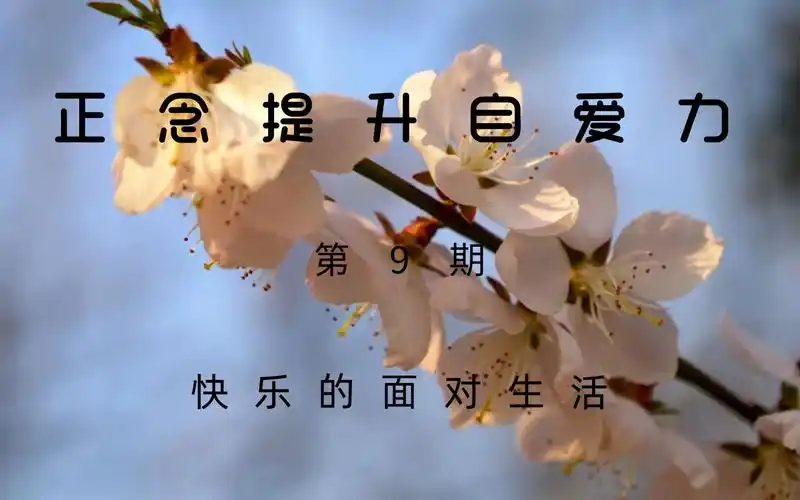 正念提升自爱力--快乐的面对生活